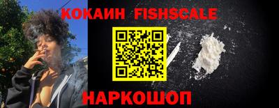 стаф Кингисепп